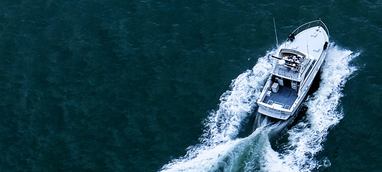 拓巨愿景 拓巨愿景